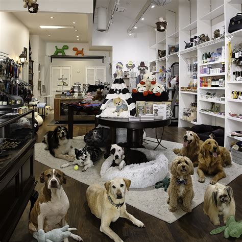 Puppy shop - 1. The Urban Pet. “NYC, and Miami with my adorable pup so when I say this is the best pet store in LA, I am talking...” more. 2. The Dog Bakery. “Small cute pet shop located in the middle of the farmer's market. Parking available in the private...” more. 3. Echo Bark, Inc.